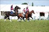 UKPA NC SAT_2357